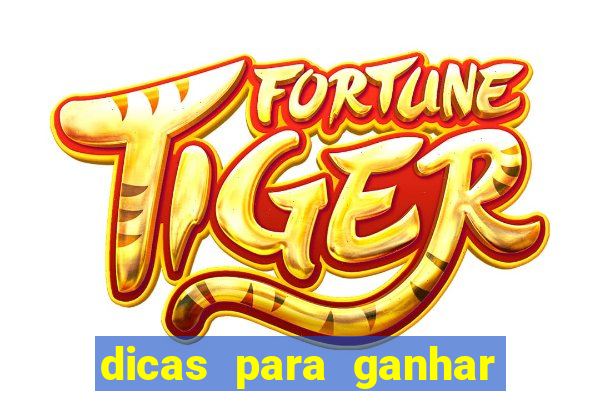 dicas para ganhar no fortune rabbit